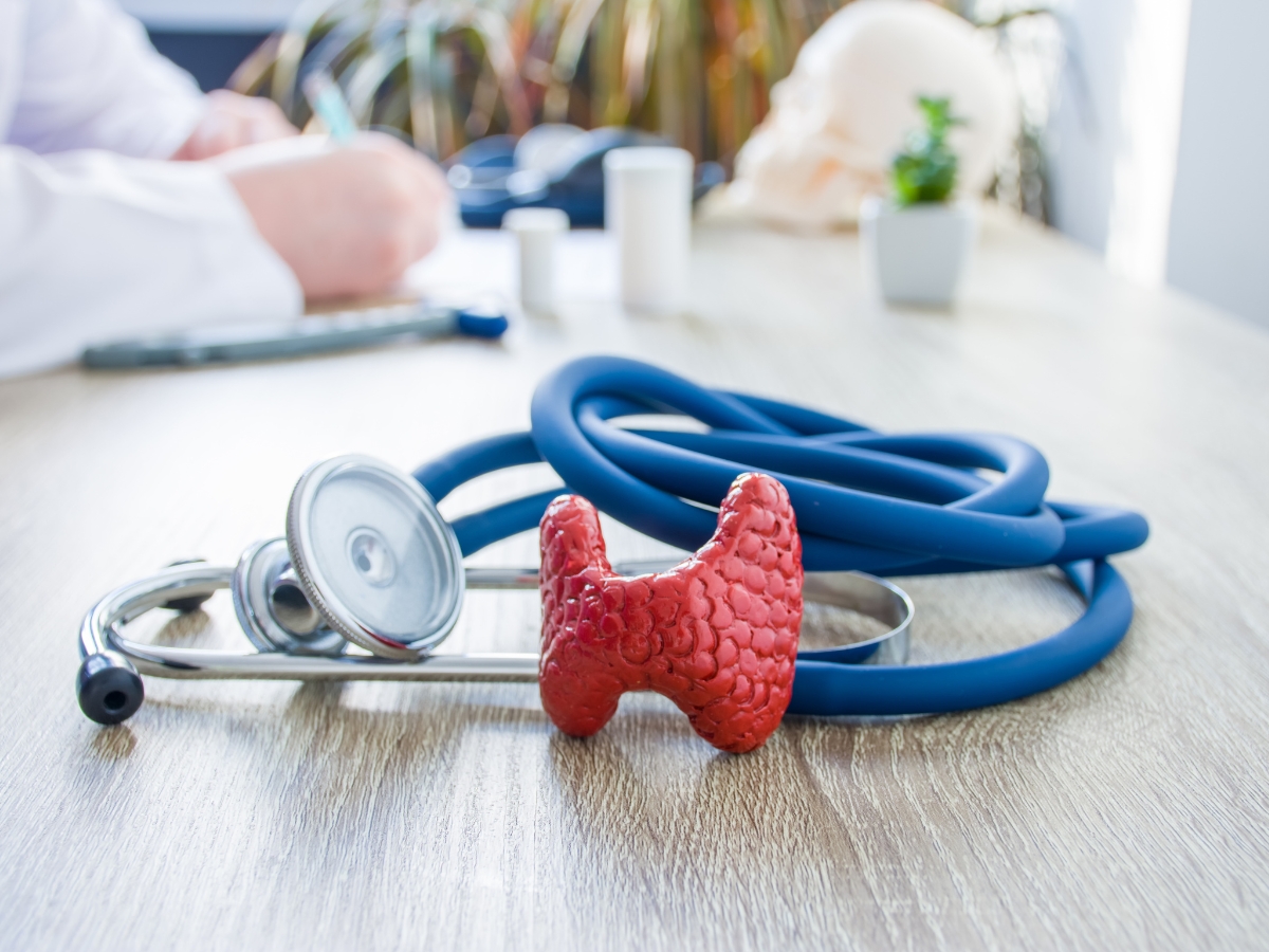 A doctor describes preventative measures against thyroid disease to patients. A 3D model of a thyroid sits next to a stethascope.